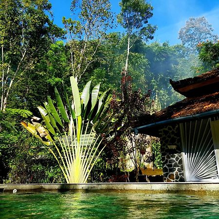 Mi Casa - The Gem Of Ijen 호텔 바뉴왕기 외부 사진
