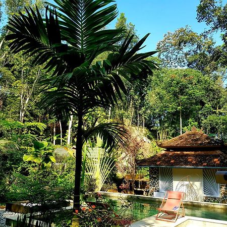 Mi Casa - The Gem Of Ijen 호텔 바뉴왕기 외부 사진