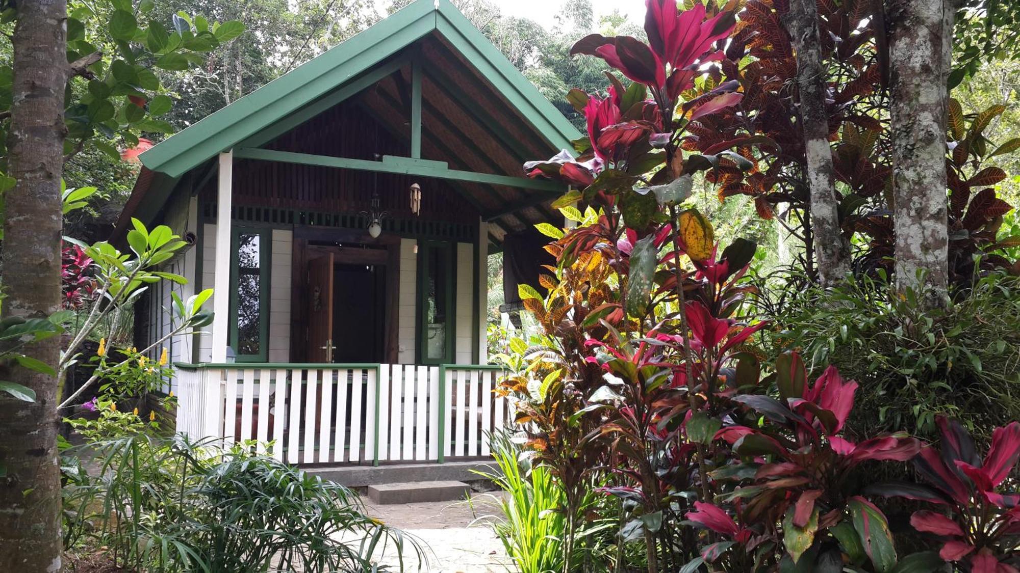 Mi Casa - The Gem Of Ijen 호텔 바뉴왕기 외부 사진