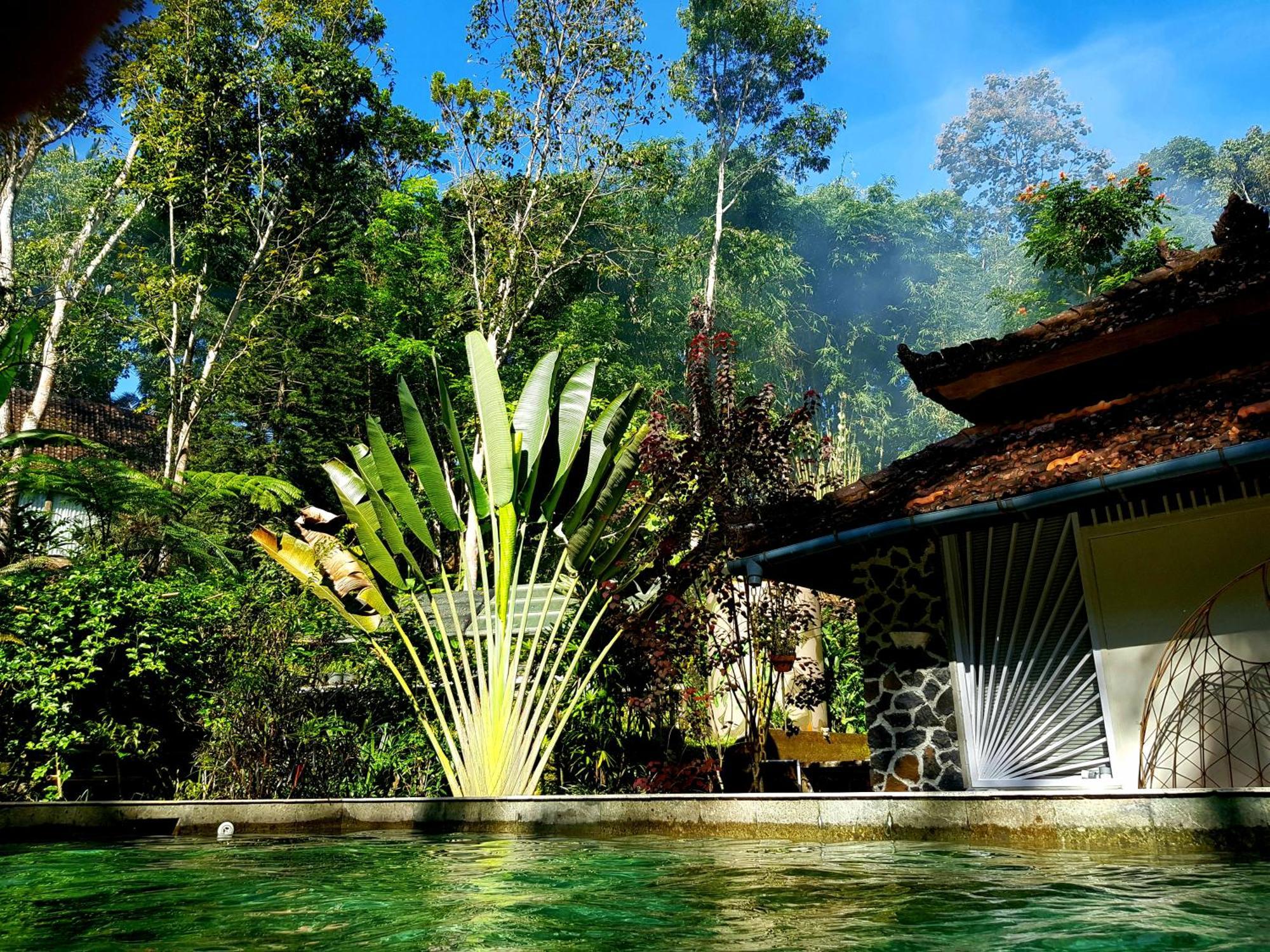 Mi Casa - The Gem Of Ijen 호텔 바뉴왕기 외부 사진