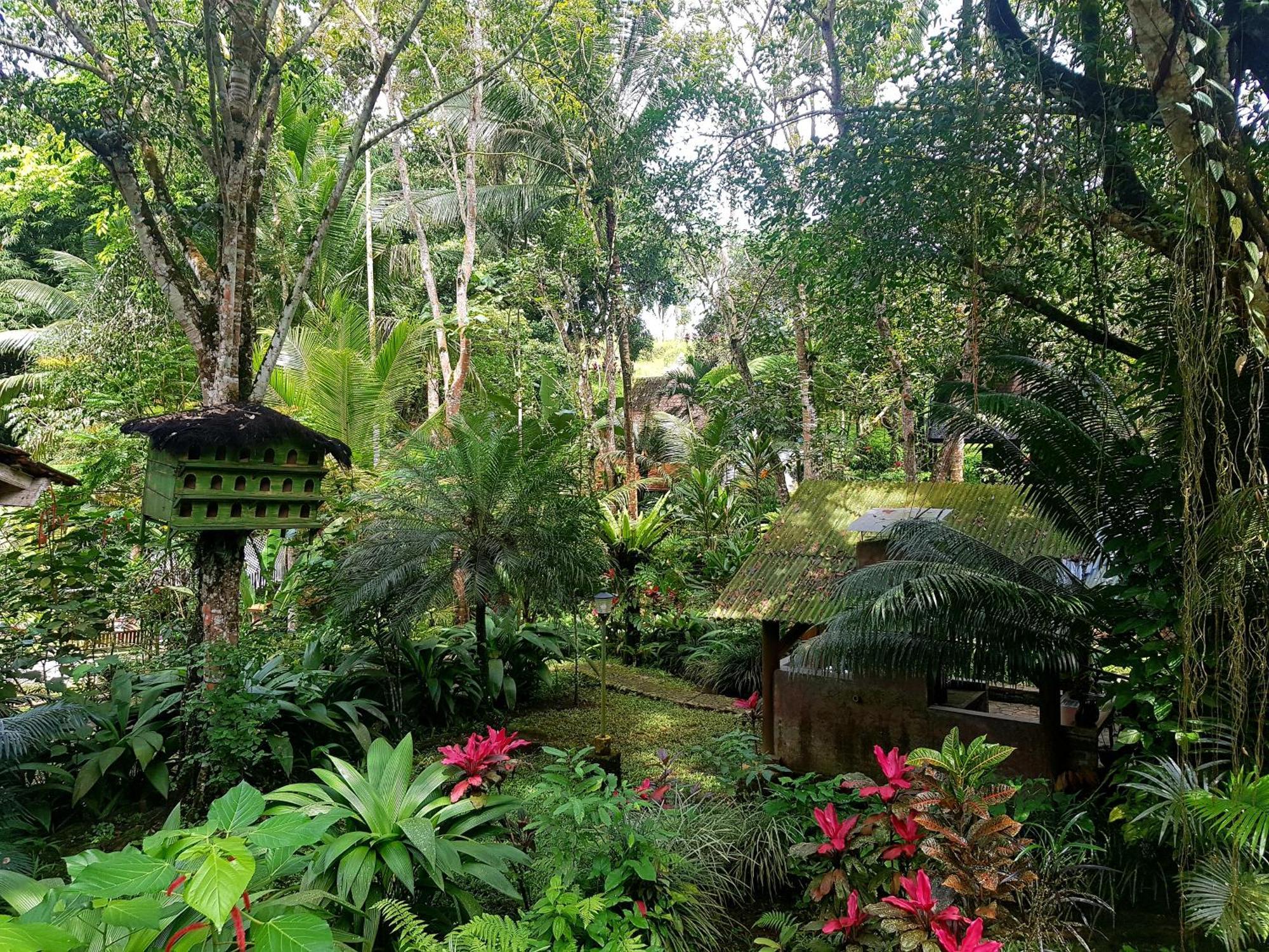 Mi Casa - The Gem Of Ijen 호텔 바뉴왕기 외부 사진